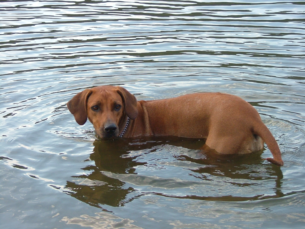 DSCF2833.JPG
